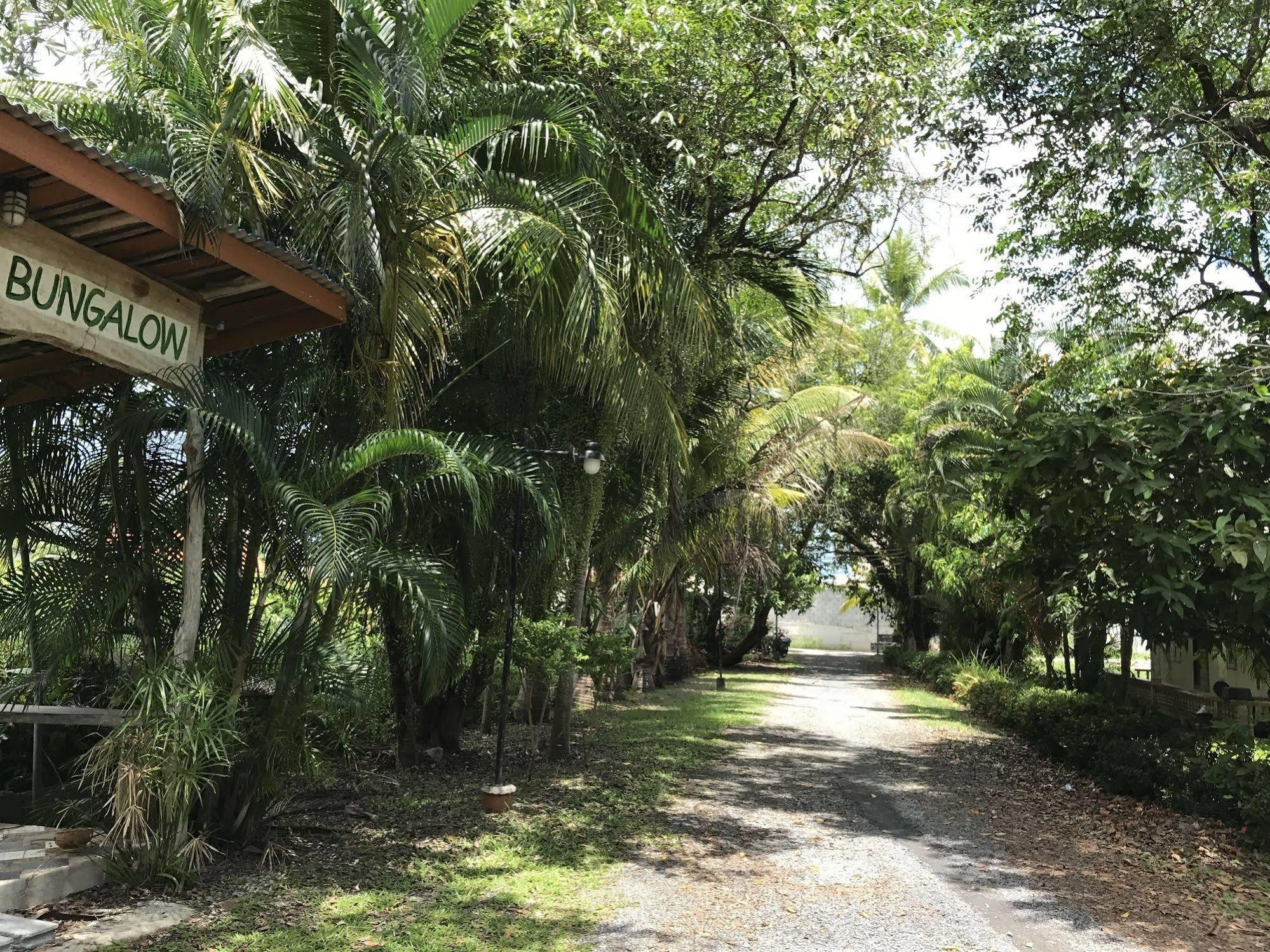 Coconut Bungalow Nai Yang Beach Extérieur photo